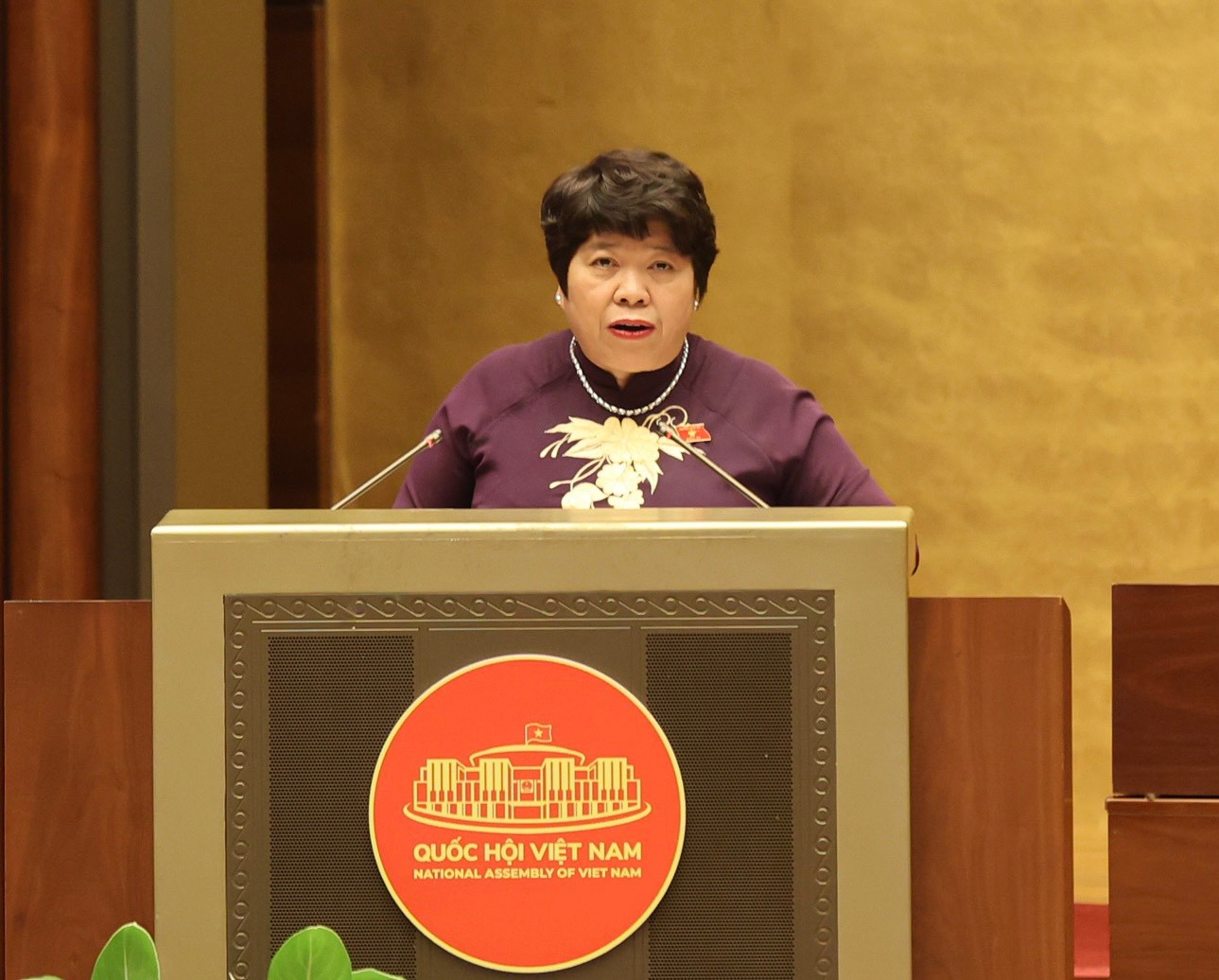 Chủ nhiệm Uỷ ban Xã hội Nguyễn Thúy Anh. Ảnh Như Ý. Chủ nhiệm Uỷ ban Xã hội Nguyễn Thúy Anh. Ảnh Như Ý.