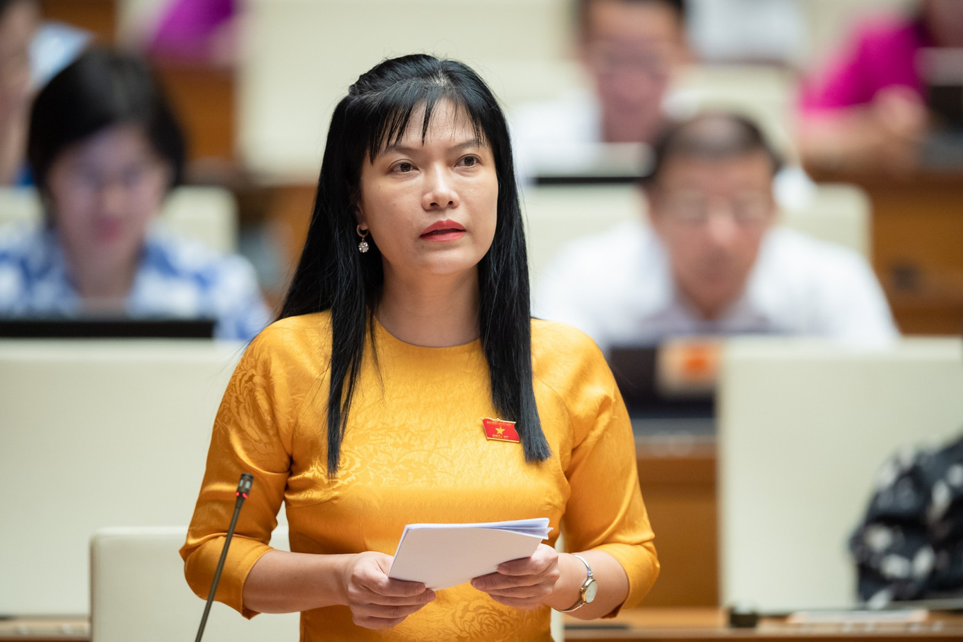 Đại biểu Tạ Thị Yên - Phó Trưởng Ban Công tác đại biểu. Ảnh: PV.