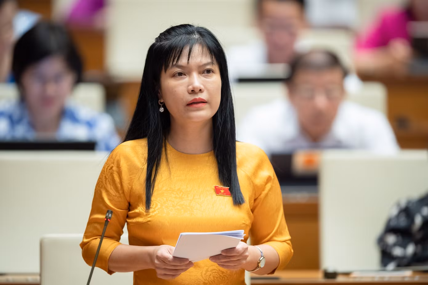 Đại biểu Tạ Thị Yên - Phó Trưởng Ban Công tác đại biểu. Ảnh: PV.