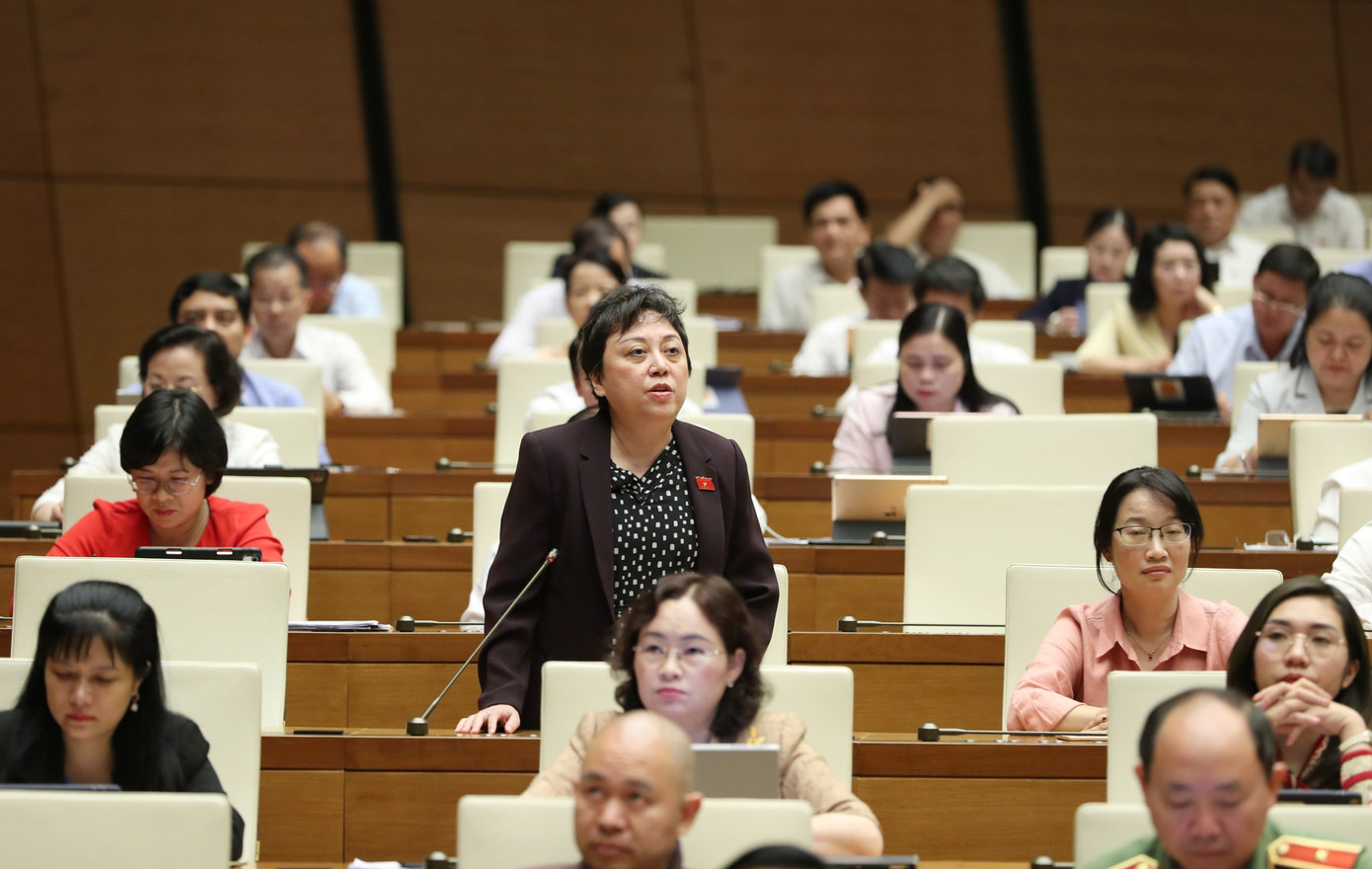 Đại biểu Quốc hội Phạm Khánh Phong Lan.