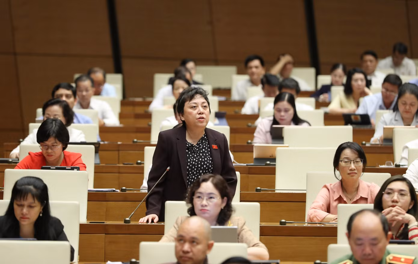 Đại biểu Quốc hội Phạm Khánh Phong Lan.