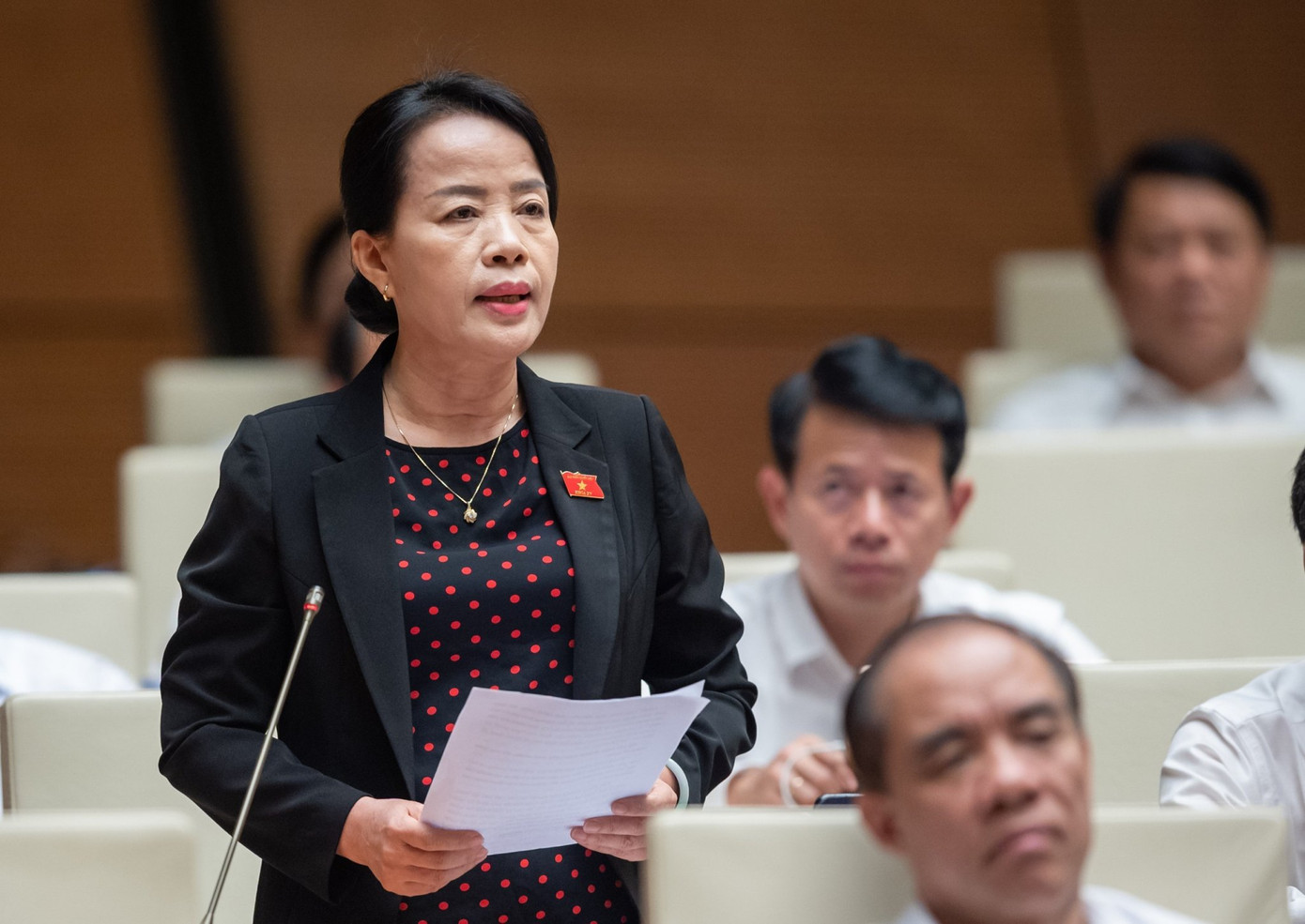 Đại biểu Nguyễn Thị Kim Thúy (Đoàn Đà Nẵng) Đại biểu Nguyễn Thị Kim Thúy (Đoàn Đà Nẵng)