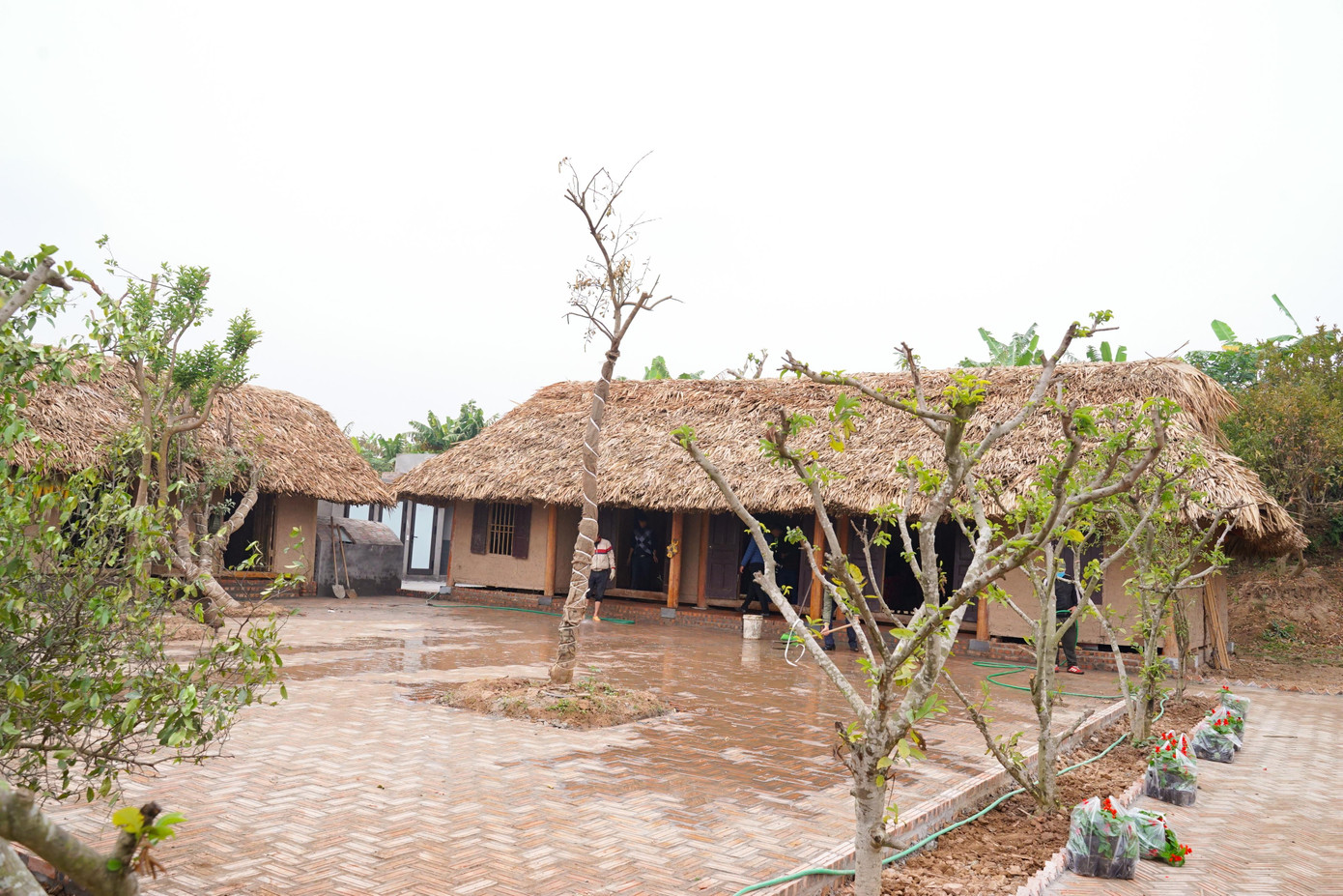 Khoảng sân gạch lát theo kiểu xương cá tỉ mỉ và cầu kì.