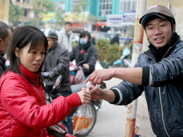 Mỗi người thường mua từ 3 đến 5 con