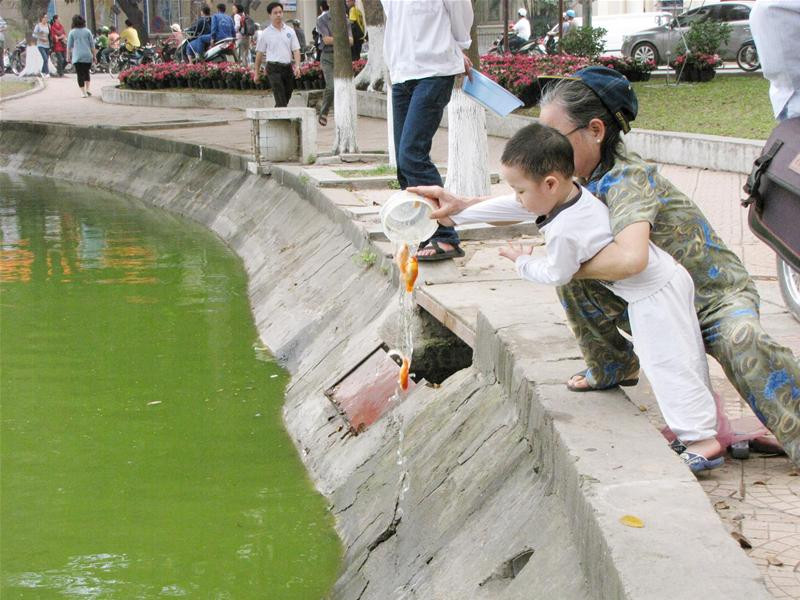 Thả cá chép ở Hồ Gươm - Ảnh: Trường Phong