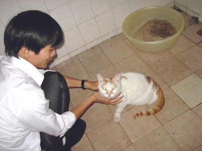 Bác sỹ thú y và “cụ” mèo 26 tuổi