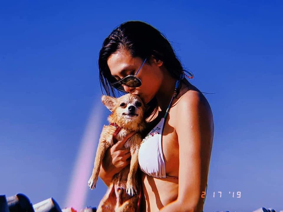 Á hậu Võ Hoàng Yến chia sẻ câu chuyện xúc động khi phải nói lời tạm biệt chú cún cưng đã gắn bó 15 năm qua. Á hậu Võ Hoàng Yến chia sẻ câu chuyện xúc động khi phải nói lời tạm biệt chú cún cưng đã gắn bó 15 năm qua.