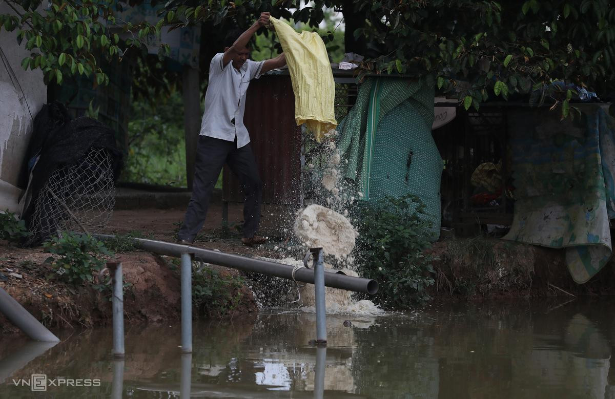 Hàng ngày, ông Đăng đi xin bã đậu và cắt cỏ cho cá ăn. "Năm đầu nuôi cá lãi được 10 triệu đồng, nhưng hai năm trở lại đây, do Covid-19, cá giống không bán được, năm ngoái chỉ thu được 1,8 triệu đồng", ông Đăng kể. Hàng ngày, ông Đăng đi xin bã đậu và cắt cỏ cho cá ăn. "Năm đầu nuôi cá lãi được 10 triệu đồng, nhưng hai năm trở lại đây, do Covid-19, cá giống không bán được, năm ngoái chỉ thu được 1,8 triệu đồng", ông Đăng kể.