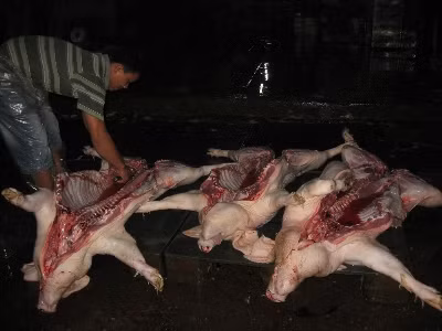 Giết mổ lợn trên nền xi măng. Ảnh: Văn Việt