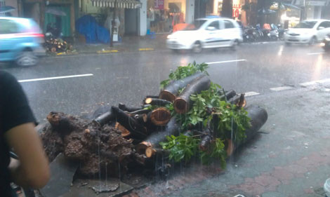 Đoạn đường xảy ra vu tai nạn khiến một người chết. Ảnh: Tiến Dũng Đoạn đường xảy ra vu tai nạn khiến một người chết