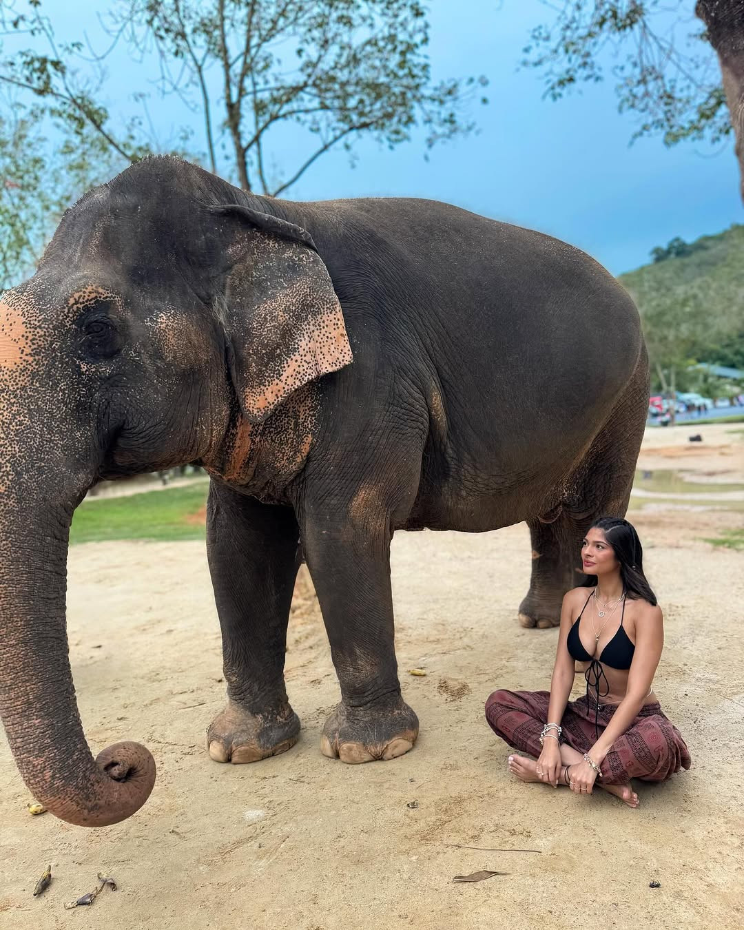 Sau khi hết nhiệm kỳ, Sheynnis công khai chuyện tình cảm với bạn trai là Carlos Gomez - cựu cầu thủ bóng chày, huấn luyện viên thể hình.