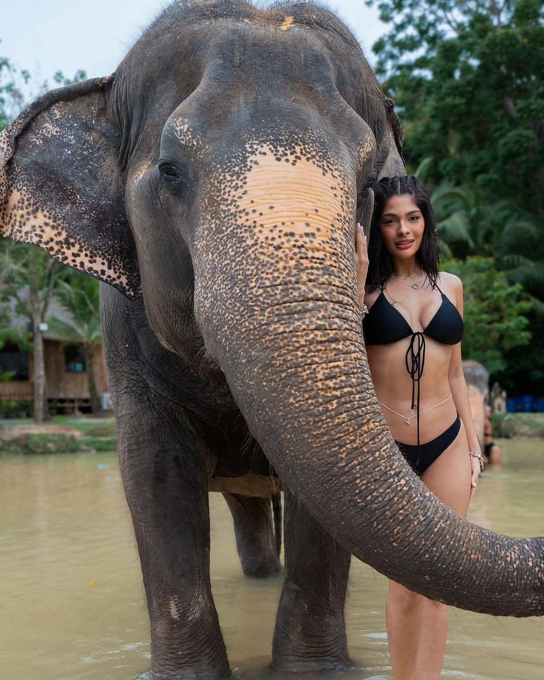 Cô đã làm việc ở hơn 30 quốc gia, trở thành Hoa hậu Hoàn vũ bận rộn nhất lịch sử. Những nước cô từng ghé thăm gồm Mỹ, Mexico, Brazil, Costa Rica, Colombia, Bolivia, Ecuador, Puerto Rico, Indonesia, Qatar, Philippines, Nepal, Pháp, Hy Lạp, Kenya, Zimbabwe...