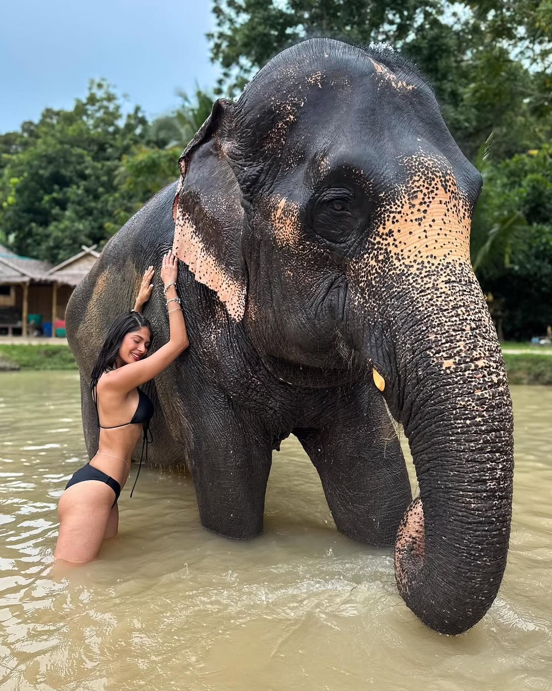 Sau khi hết nhiệm kỳ, Sheynnis công khai chuyện tình cảm với bạn trai là Carlos Gomez - cựu cầu thủ bóng chày, huấn luyện viên thể hình.