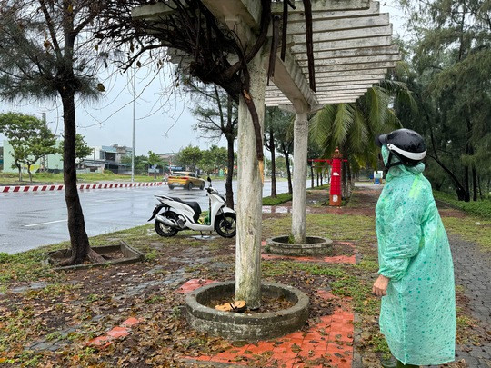 Nhân viên Công ty Công viên - Cây xanh TP Đà Nẵng kiểm tra gốc cây bị cưa trộm tại đường Nguyễn Tất Thành