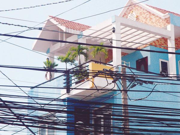 Người dân Bà Điểm trồng cau trên tầng thượng. Người dân Bà Điểm trồng cau trên tầng thượng