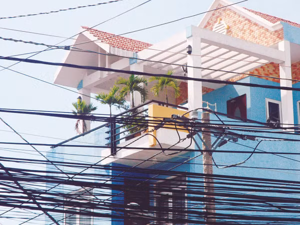 Người dân Bà Điểm trồng cau trên tầng thượng