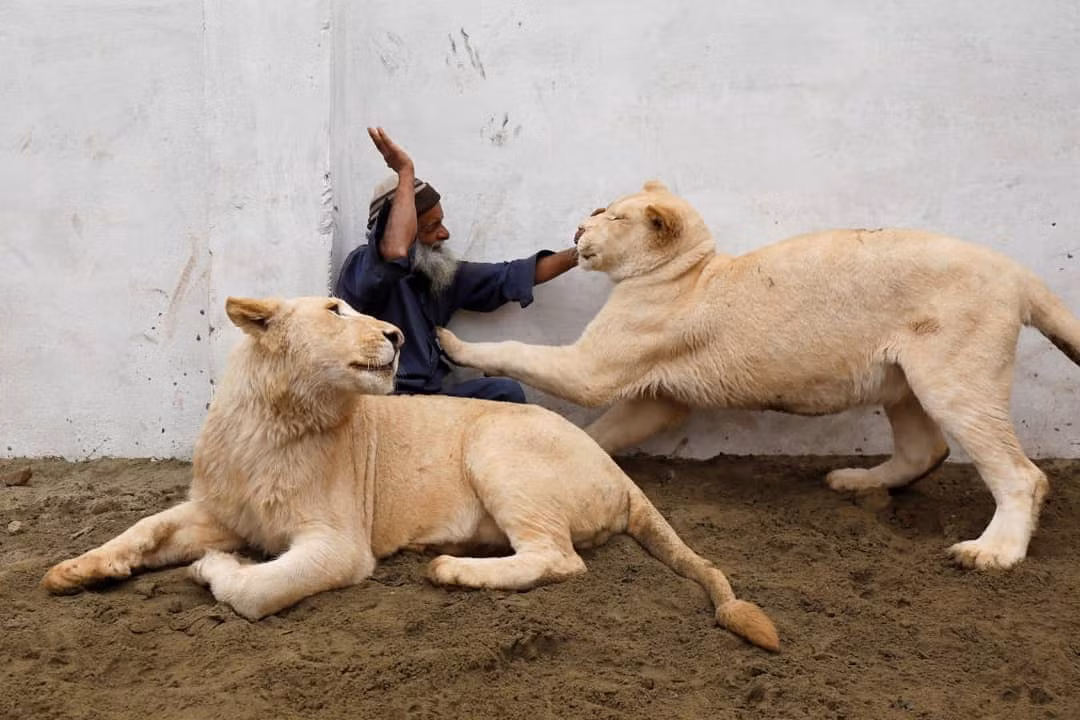 (Ảnh: Reuters) (Ảnh: Reuters)