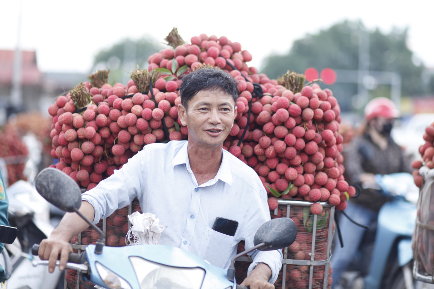 Doanh nghiệp FDI mua hàng chục tấn vải thiều/ngày. Ảnh: Nguyễn Thắng Doanh nghiệp FDI mua hàng chục tấn vải thiều/ngày. Ảnh: Nguyễn Thắng