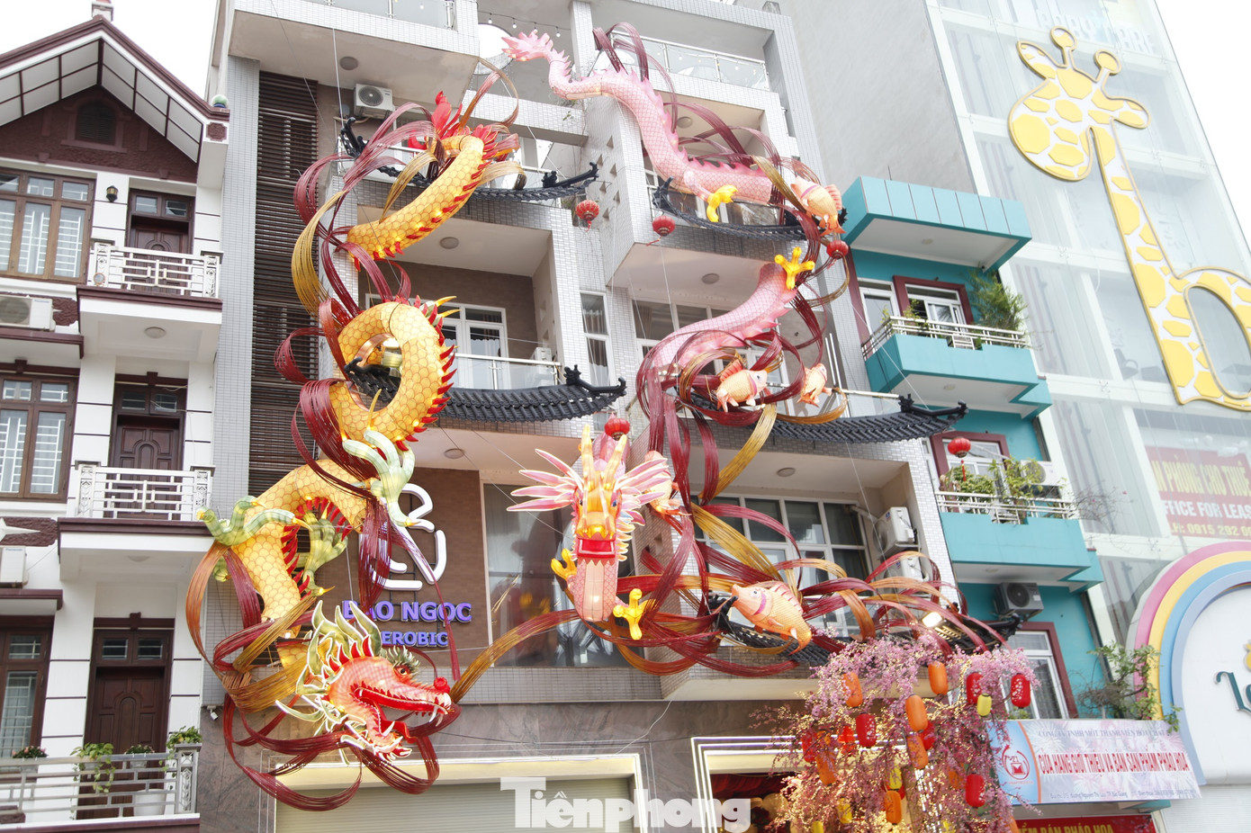 Cặp rồng khủng trước mặt tiền của ngôi nhà khiến người qua đường chú ý. Ảnh: Nguyễn Thắng Cặp rồng khủng trước mặt tiền của ngôi nhà khiến người qua đường chú ý. Ảnh: Nguyễn Thắng