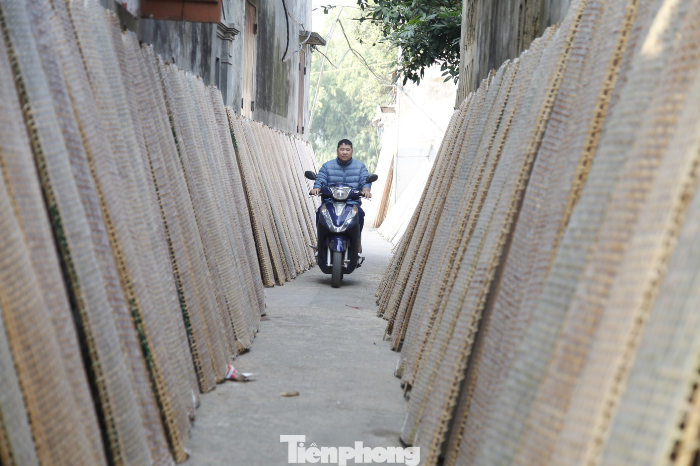 Khoảng trống ở xã Vân Hà đều được tận dụng để phơi bánh đa nem. Ảnh: Nguyễn Thắng.