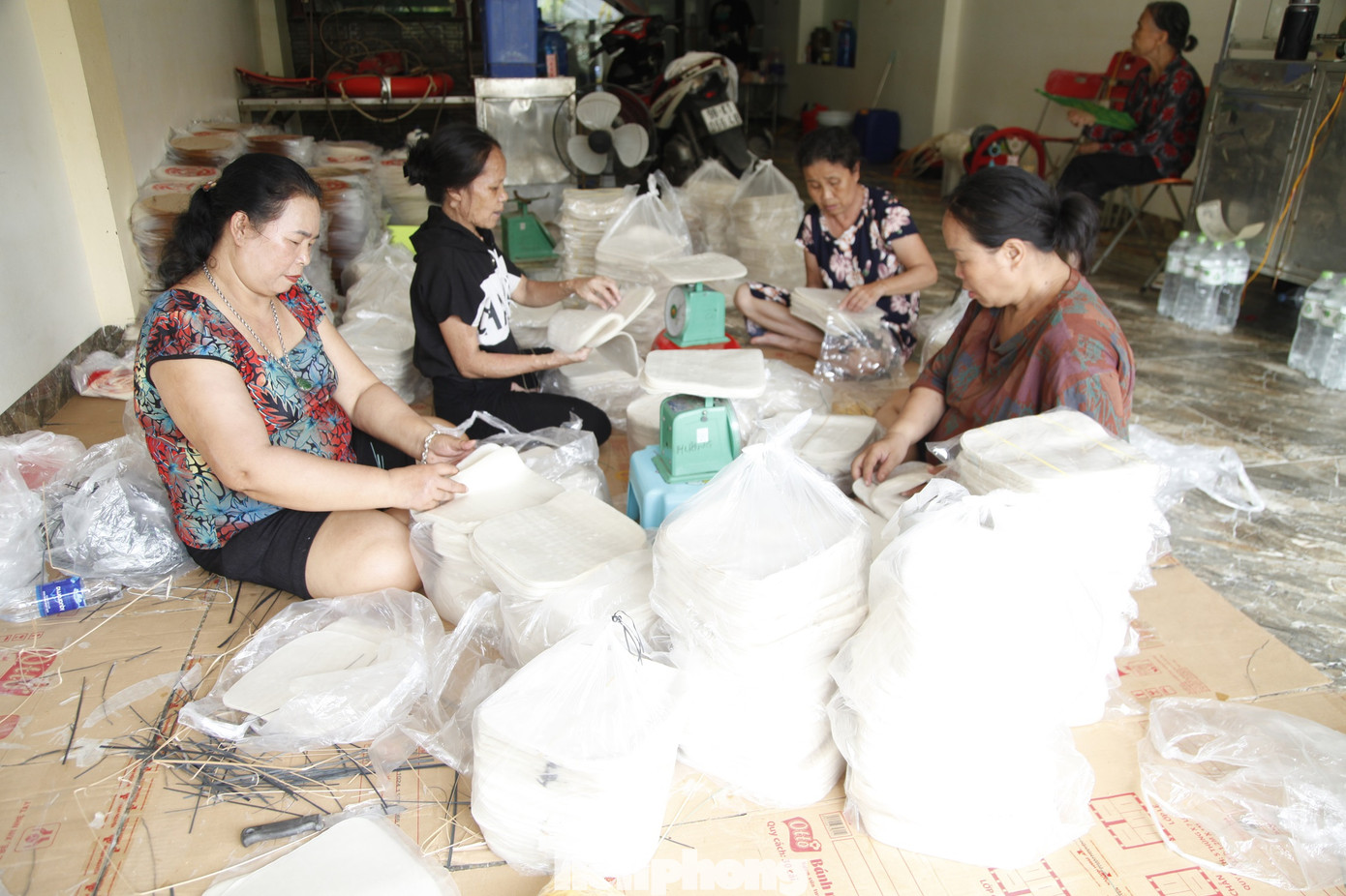 Một hộ dân ở xã Vân Hà đóng gói bánh đa nem ngay khi nước lũ rút. Ảnh: Nguyễn Thắng.