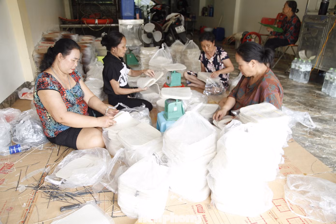 Một hộ dân ở xã Vân Hà đóng gói bánh đa nem ngay khi nước lũ rút. Ảnh: Nguyễn Thắng.