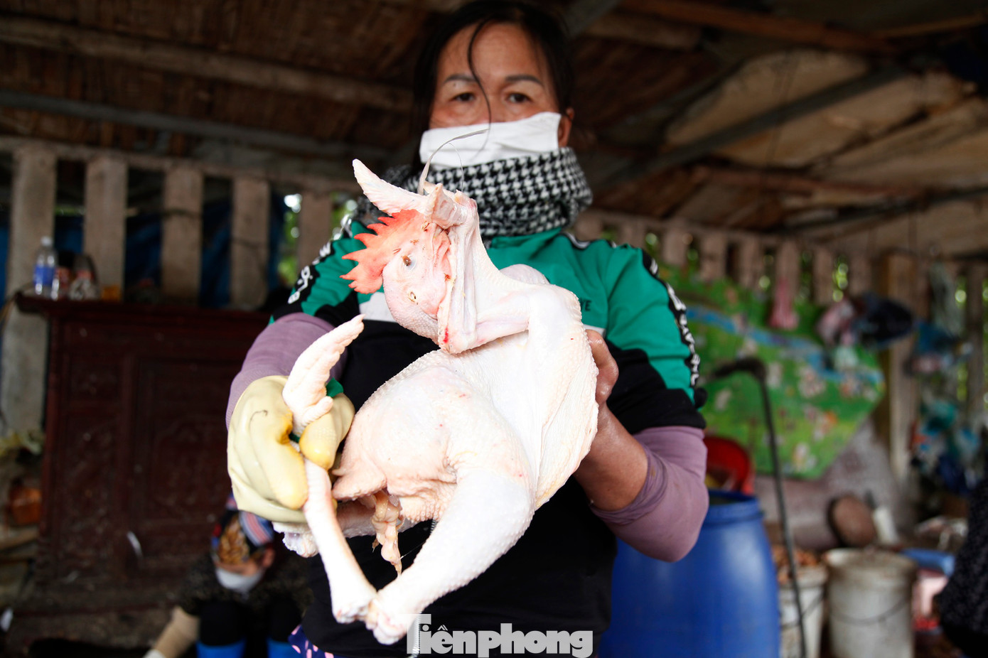 Người thịt gà thuê kiếm tiền triệu ngày 29 Tết. Ảnh: Nguyễn Thắng Người thịt gà thuê kiếm tiền triệu ngày 29 Tết. Ảnh: Nguyễn Thắng