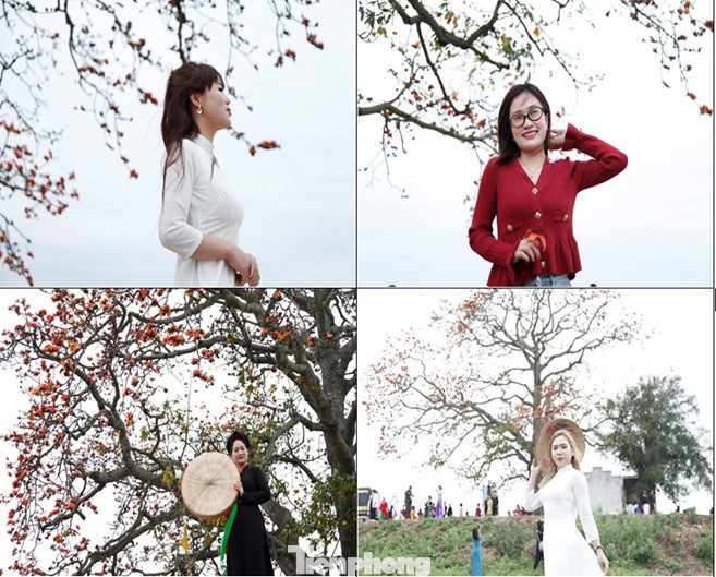 Cây gạo thu hút nhiều người đến chụp ảnh. Ảnh: Nguyễn Thắng.