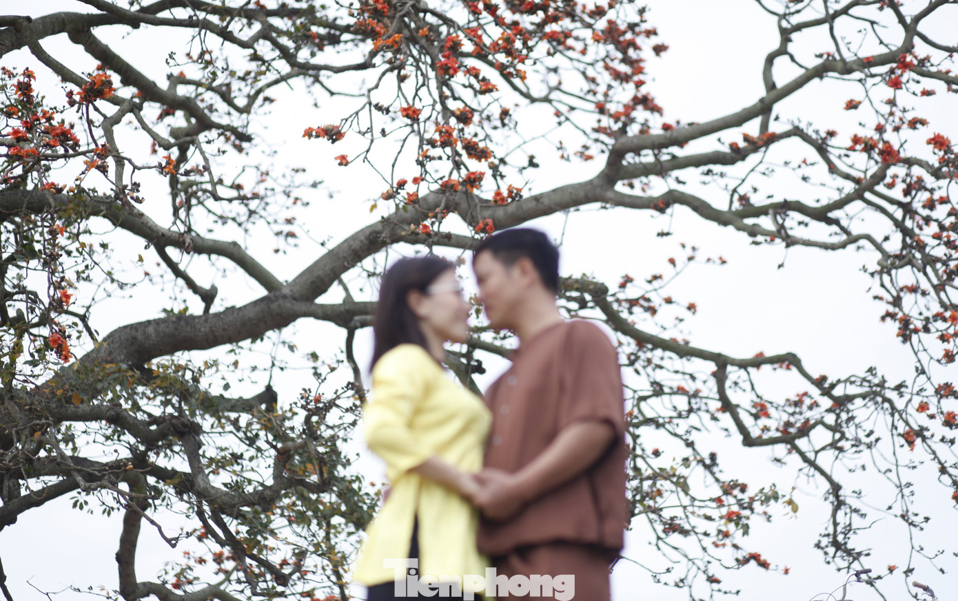 Một cặp vợ chồng chụp ảnh kỷ niệm ở cây gạo ở xã Lãng Sơn. Ảnh: Nguyễn Thắng.
