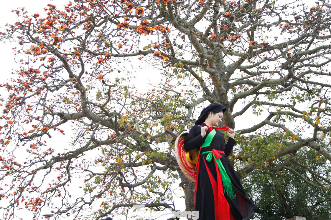 Một du khách mặc áo chị hai quan họ chụp ảnh bên cây gạo xã Lãng Sơn. Ảnh: Nguyễn Thắng.