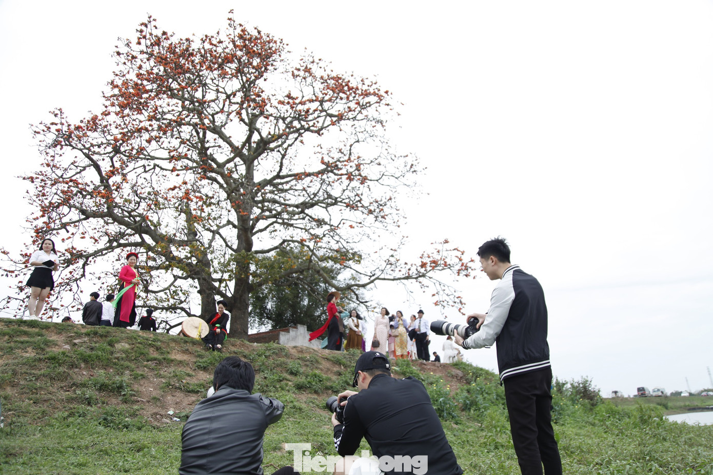Nhiều thợ chụp ảnh cho khách tại cây gạo xã Lãng Sơn. Ảnh: Nguyễn Thắng.