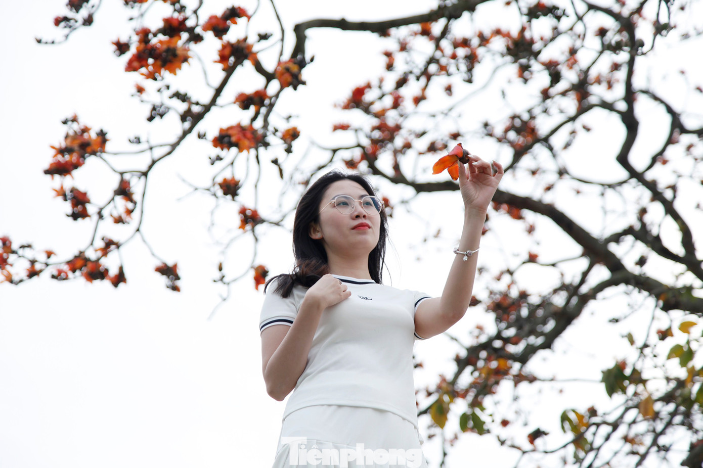 Một bạn trẻ thích thú chụp ảnh dưới cây gạo. Ảnh: Nguyễn Thắng.