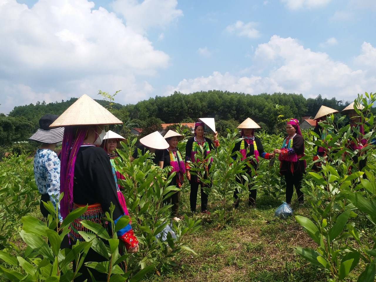 Hội viên Hội LHPN tỉnh Bắc Giang giúp nhau phát triển kinh tế. Hội viên Hội LHPN tỉnh Bắc Giang giúp nhau phát triển kinh tế.