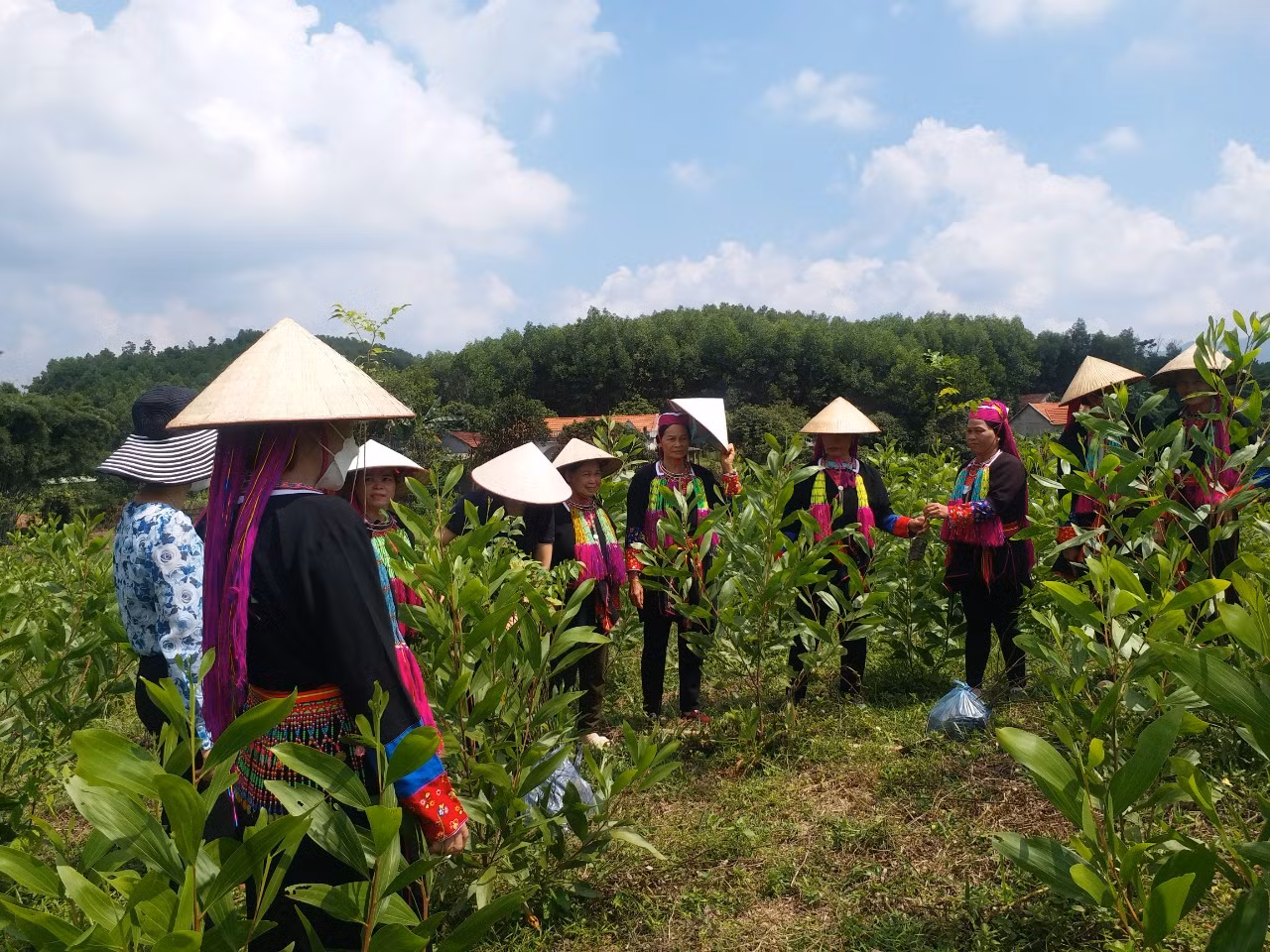 Hội viên Hội LHPN tỉnh Bắc Giang giúp nhau phát triển kinh tế.