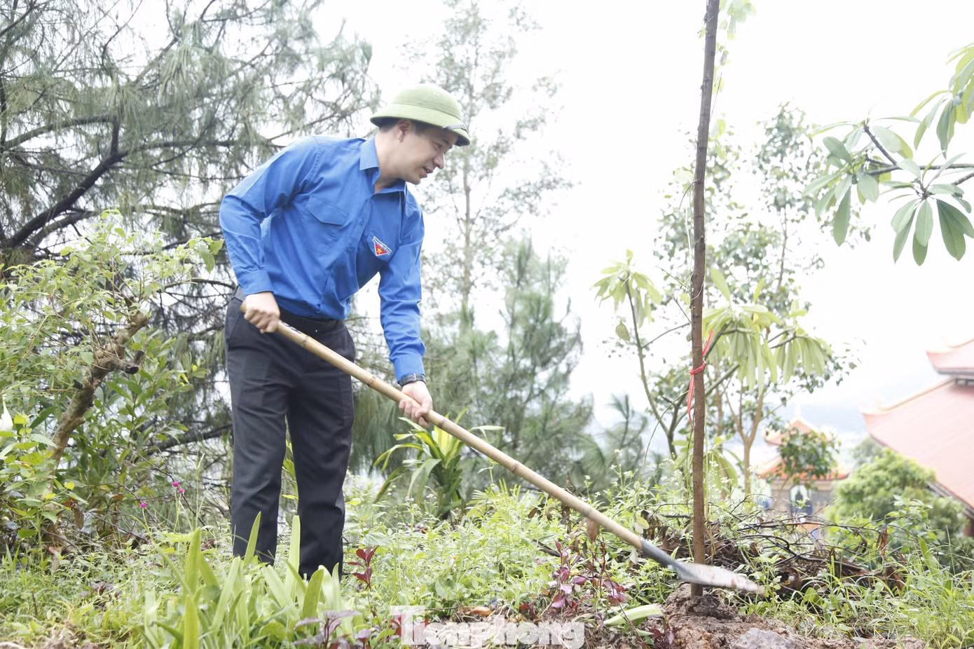 Bí thư Trung ương Đoàn Ngô Văn Cương trồng cây tại đỉnh Non Vua. Ảnh: Nguyễn Thắng