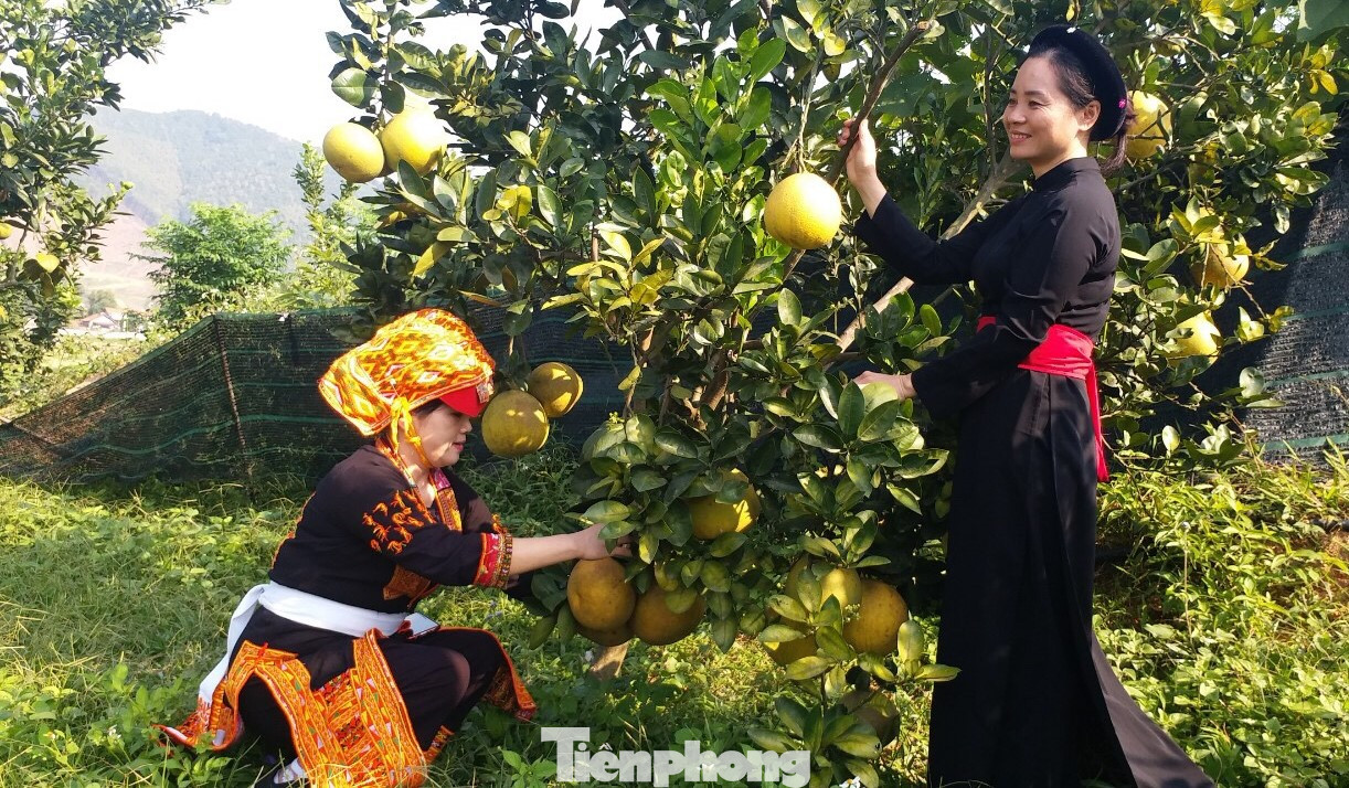Phụ nữ đồng bào dân tộc huyện Sơn Động (Bắc Giang) giúp nhau giảm nghèo bền vững.