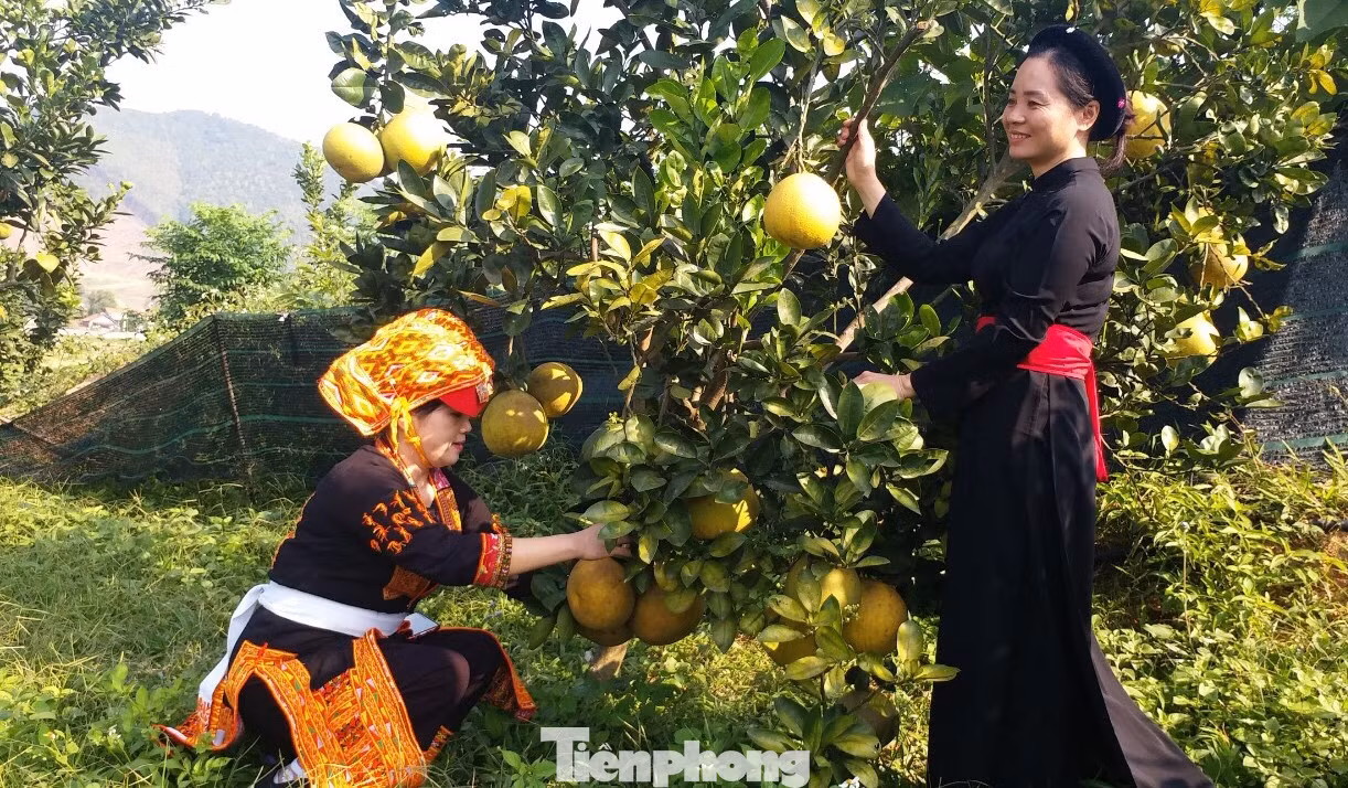 Phụ nữ đồng bào dân tộc huyện Sơn Động (Bắc Giang) giúp nhau giảm nghèo bền vững.