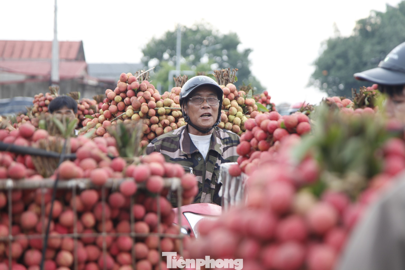 Chợ vải thiều nằm dọc quốc lộ 31 có chiều dài hàng chục km chạy qua huyện Lục Ngạn và thị xã Chũ (tỉnh Bắc Giang), với hàng trăm điểm cân vải.