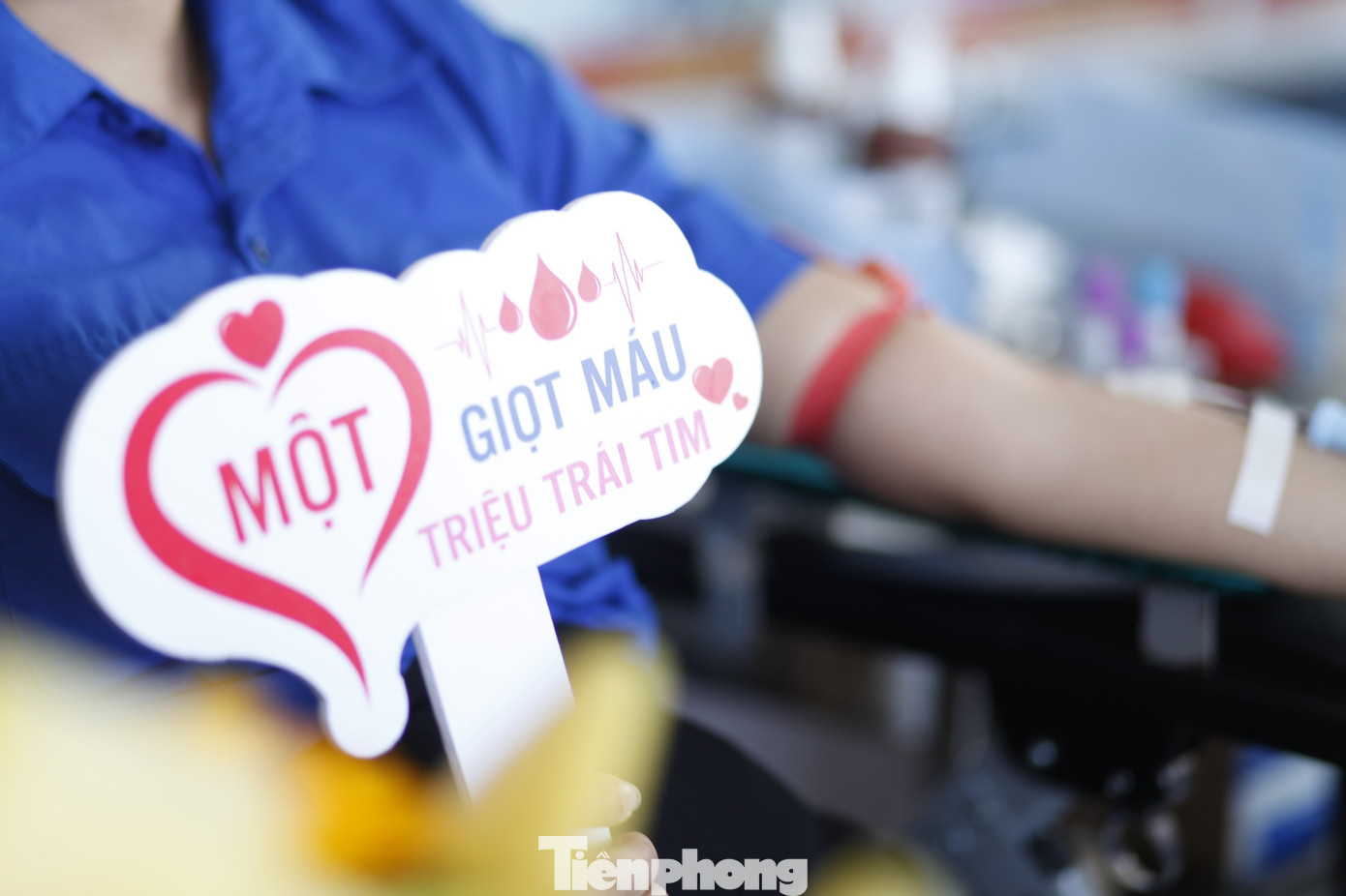 Ảnh: Nguyễn Thắng.