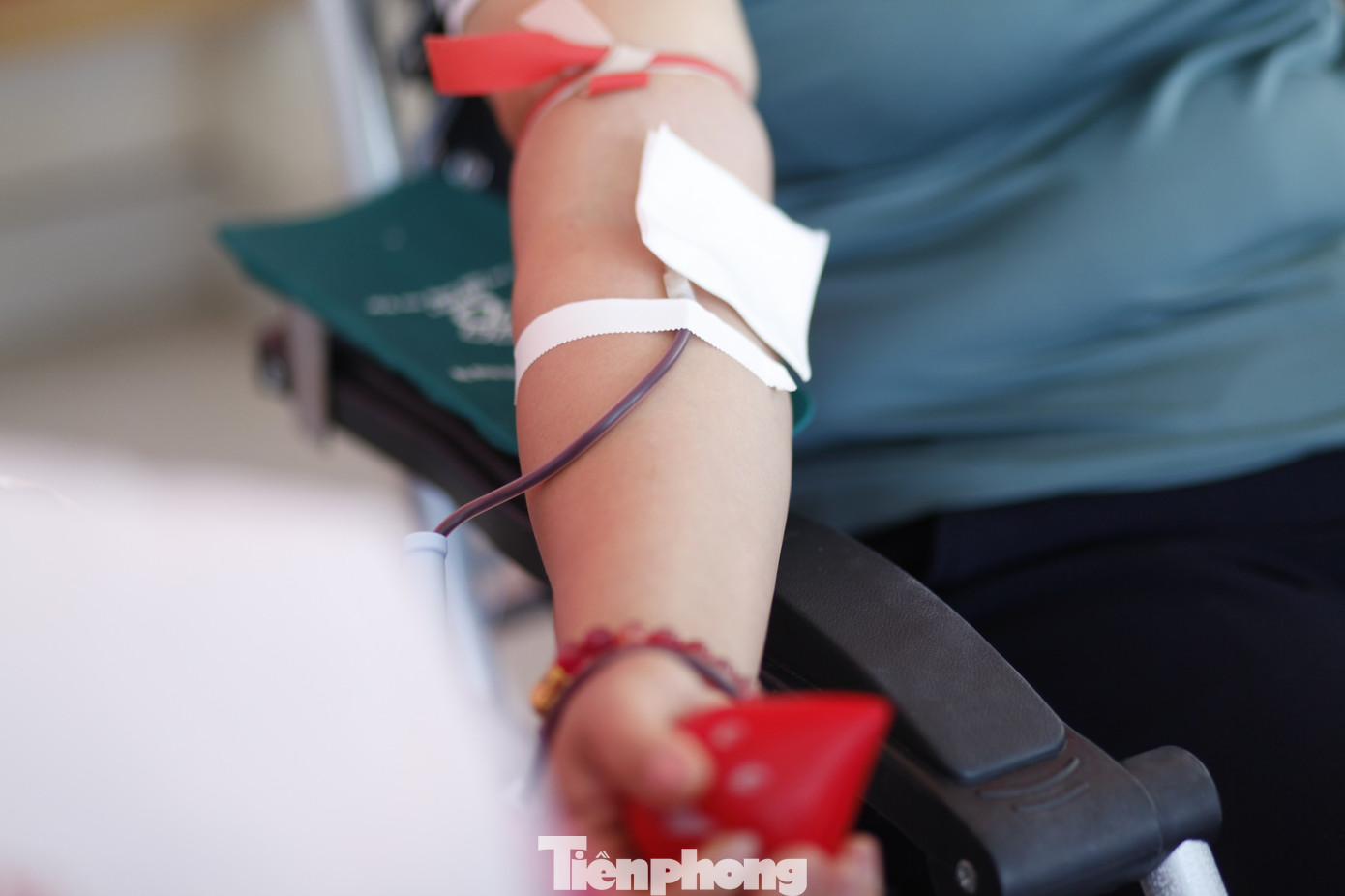 Ảnh: Nguyễn Thắng