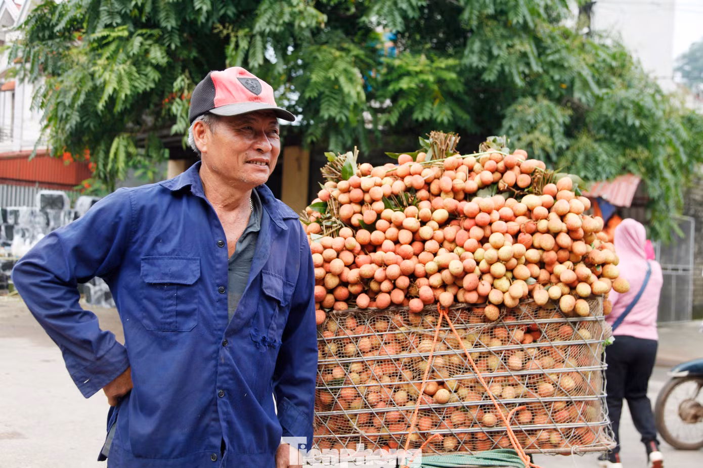Nông dân Bắc Giang phấn khởi vì vải thiều bán được giá cao. Ảnh: Nguyễn Thắng.