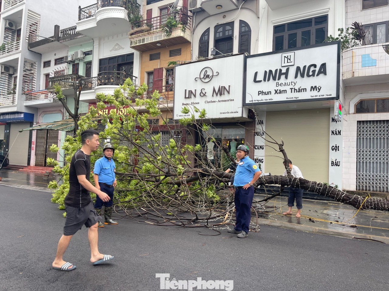 Gió to làm cây đổ ở đường phố thành phố Bắc Giang.