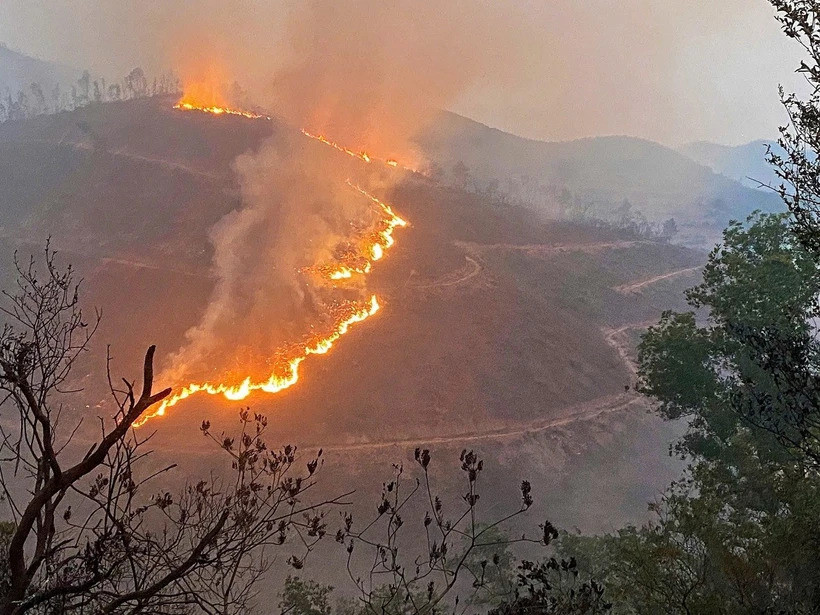 Một vụ cháy rừng ở Bắc Giang.
