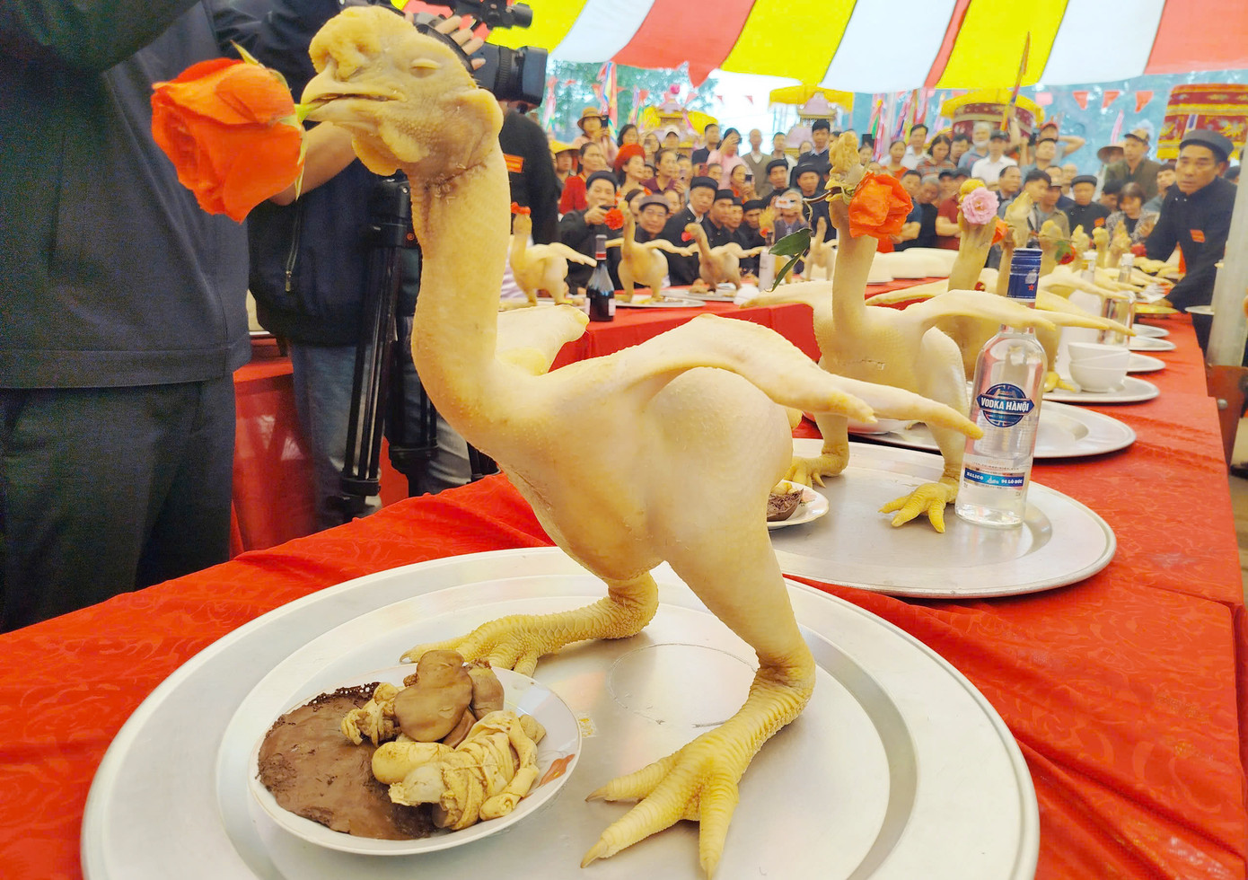 Gà dự thi phải được tạo thế và ngậm hoa.