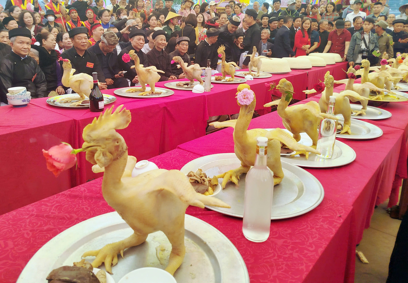 Tiêu chuẩn gà đạt giải phải đứng trên mâm không đổ, màu da vàng, hai cánh thẳng, đầu mỏ không chổng lên, không chúc xuống, không thiếu bộ phận nào của cơ thể con gà.