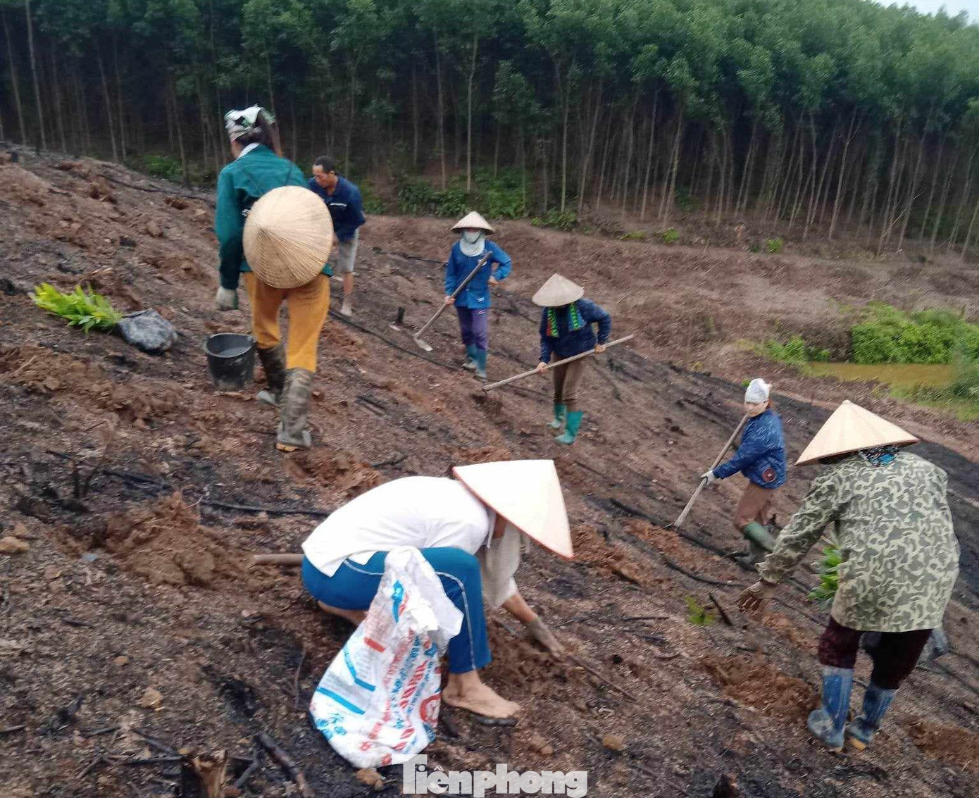 Nhiều chị em phụ nữ đồng bào dân tộc Dao ở bản Mùng đã thoát nghèo nhờ vốn vay từ mô hình trồng cây gây quỹ. Nhiều chị em phụ nữ đồng bào dân tộc Dao ở bản Mùng đã thoát nghèo nhờ vốn vay từ mô hình trồng cây gây quỹ.