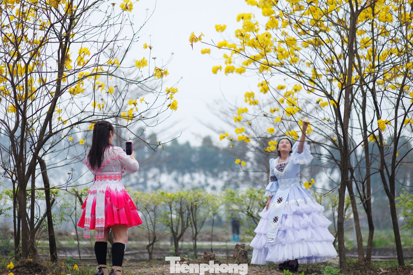 Hai phụ nữ trẻ người Mông đến Bắc Giang làm công nhân chụp ảnh với hoa phong linh. Ảnh: Nguyễn Thắng