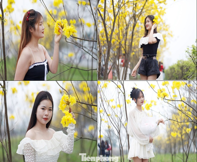 Các bạn trẻ thích thú "check in" đường hoa phong linh tại Bắc Giang. Ảnh: Nguyễn Thắng