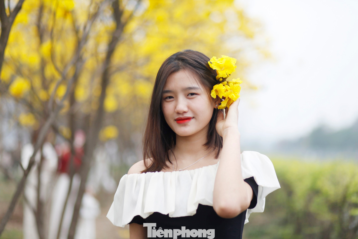 Một bạn trẻ chụp ảnh cùng hoa phong linh. Ảnh: Nguyễn Thắng