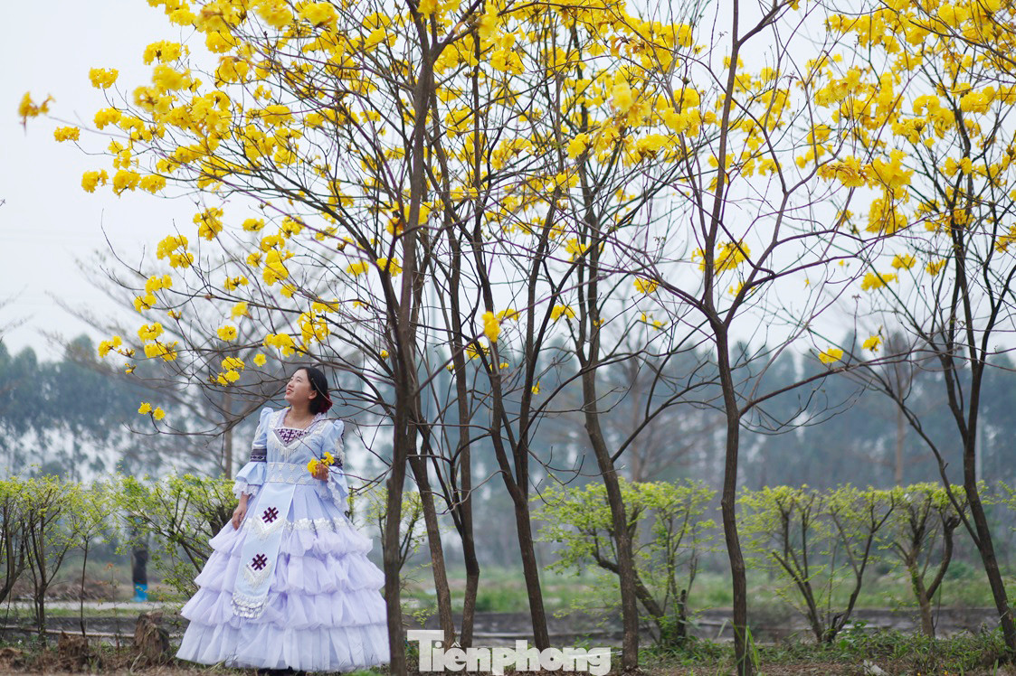 Ảnh: Nguyễn Thắng